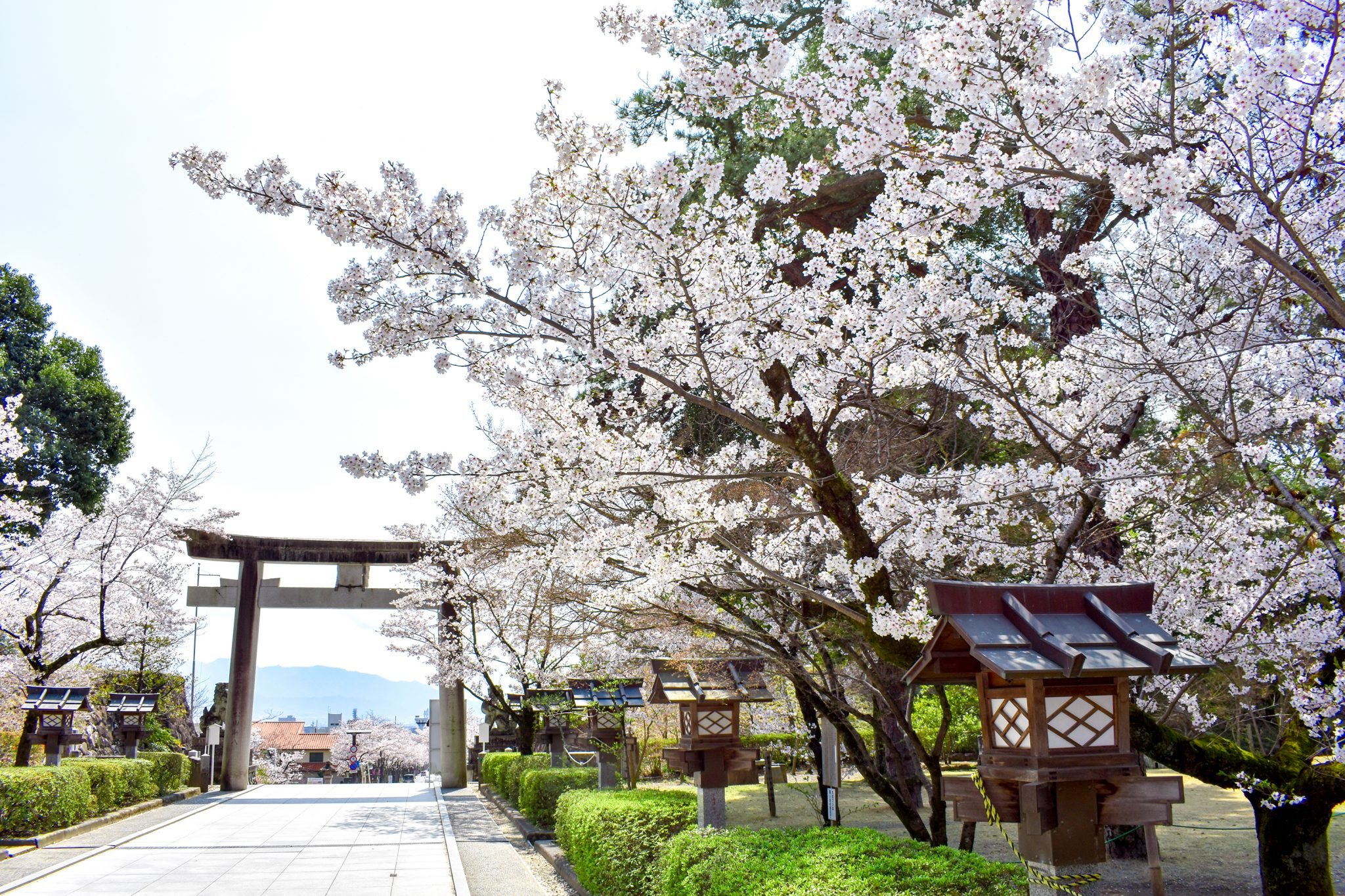🏯 다케다 가문 저택 유적(쓰쓰지가사키 관 유적) 이미지 9